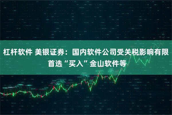 杠杆软件 美银证券：国内软件公司受关税影响有限 首选“买入”金山软件等