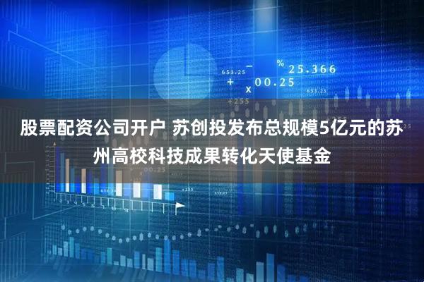 股票配资公司开户 苏创投发布总规模5亿元的苏州高校科技成果转化天使基金